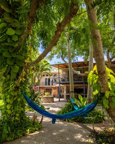 Rancho Poco a Poco estate grounds with hammocks